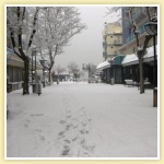 Viale Ennio