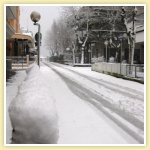 viale bianco 