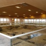 LA DOMUS DEL CHIRURGO
